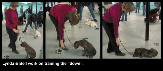 Lynda and Bell work on training the 