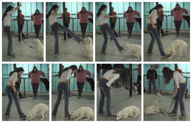 Lynda and Bell work on training the