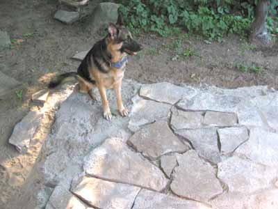 Lucy at the end of the path (for now).