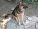Lucy