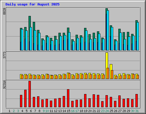 Daily usage for August 2025