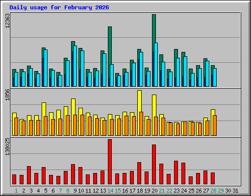 Daily usage for February 2026