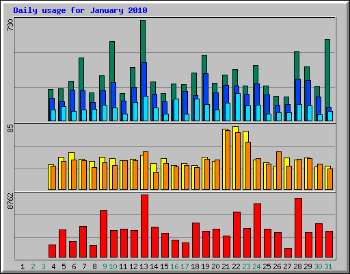 Daily usage for January 2010
