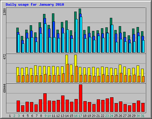 Daily usage for January 2010