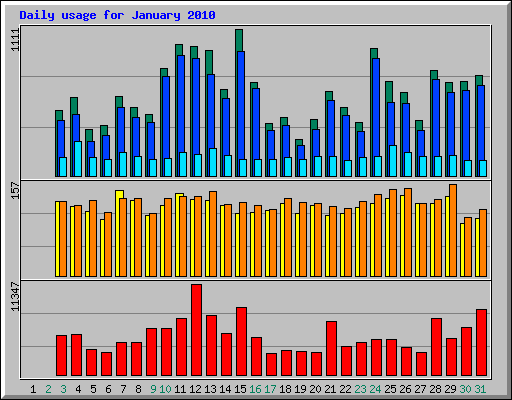 Daily usage for January 2010
