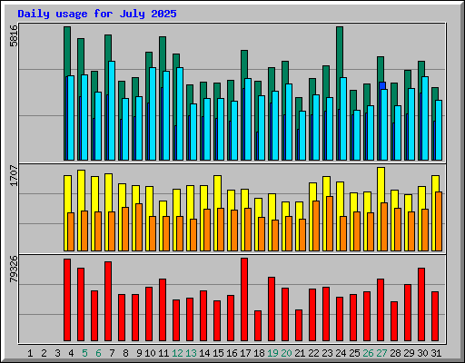 Daily usage for July 2025