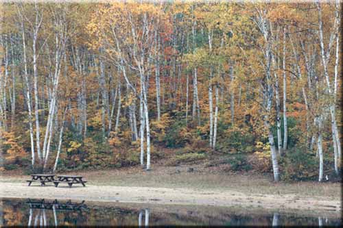 Arrowhead Lake beach