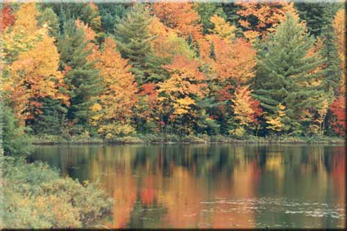 Mayflower Lake, Arrowhead Provincial Park.