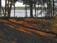 139-3965_640x480-shadows.jpg (90kb)