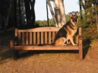 139-3968_640x480-bench.jpg (73kb)