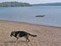 139-3969_640x480-beach.jpg (52kb)