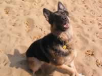 139-3971_640x480-lucy.jpg (58kb)