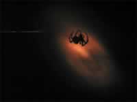 140-4015_640x480-spider.jpg (15kb)