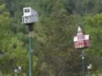 118-1876_birdhousecity.jpg (37kb)