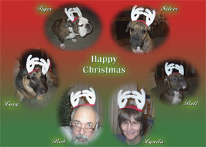 happy christmas
